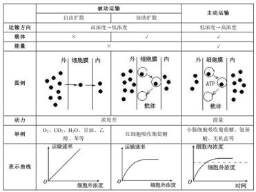 海南教师招聘生物学科：进出细胞